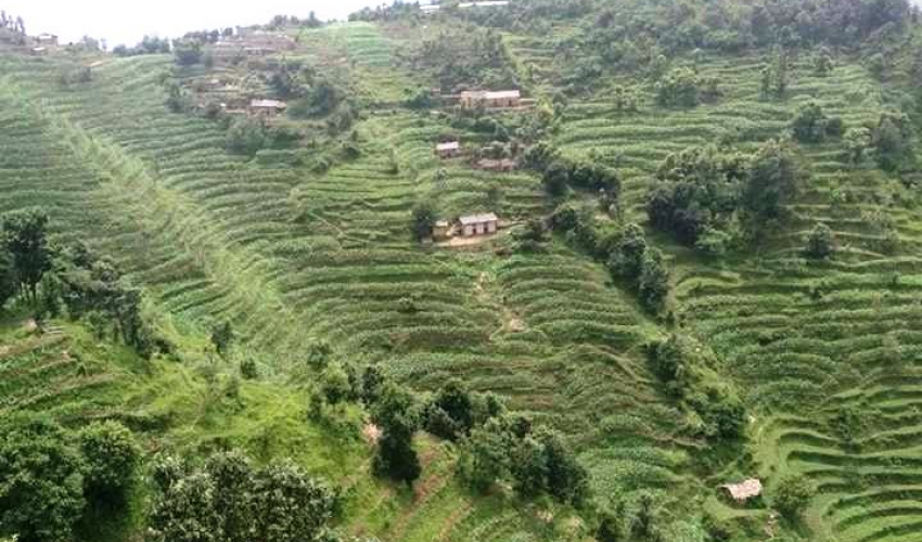 वडाअध्यक्षको मनोमानीका कारण ७० घरधुरी खोलाको पानी खान बाध्य