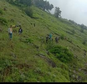 युवाको सक्रियतामा सामुदायिक वनमा बृक्षारोपण