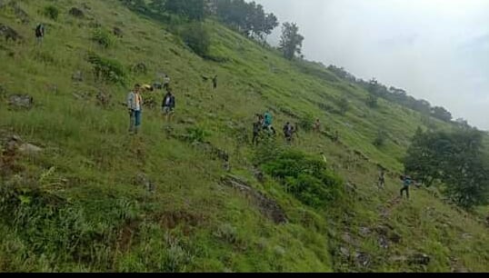 युवाको सक्रियतामा सामुदायिक वनमा बृक्षारोपण