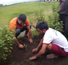 कर्मचारी मनोज, झपेन्द्र र सुरेन्द्रको स्मृतिमा फलफुल विरुवा रोपण
