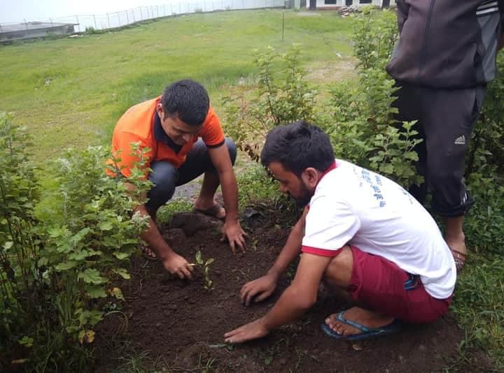 कर्मचारी मनोज, झपेन्द्र र सुरेन्द्रको स्मृतिमा फलफुल विरुवा रोपण