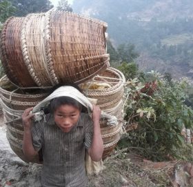 डोकोडालाले धानेको जिन्दगी