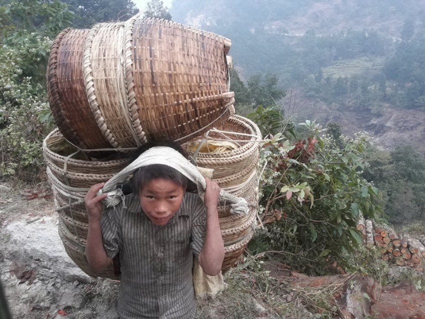 डोकोडालाले धानेको जिन्दगी