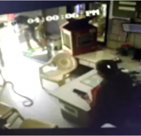 बोतलमा पेट्रोल नपाएको झोंकमा पम्पकी मालिक्नीको क्याबिनमा छोडिदिए कोब्रा सर्प