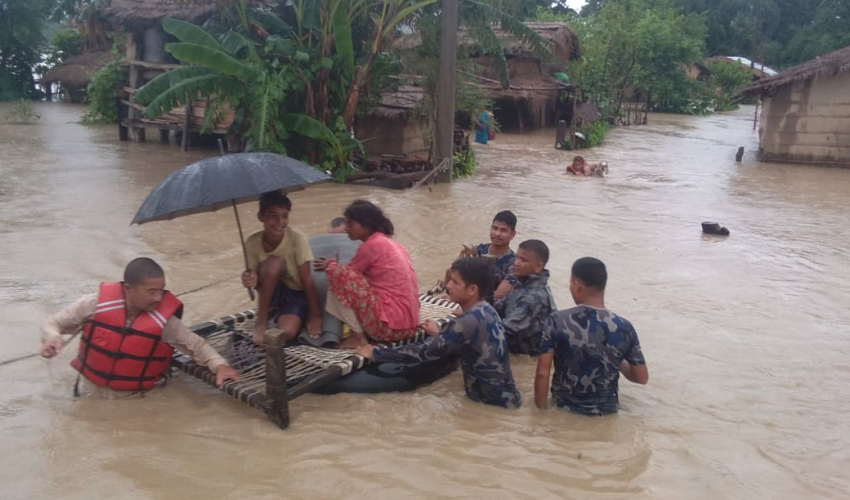 कैलालीमा ६ हजार घर डुबानमा, दुई हजार विस्थापित, तीन जना बेपत्ता