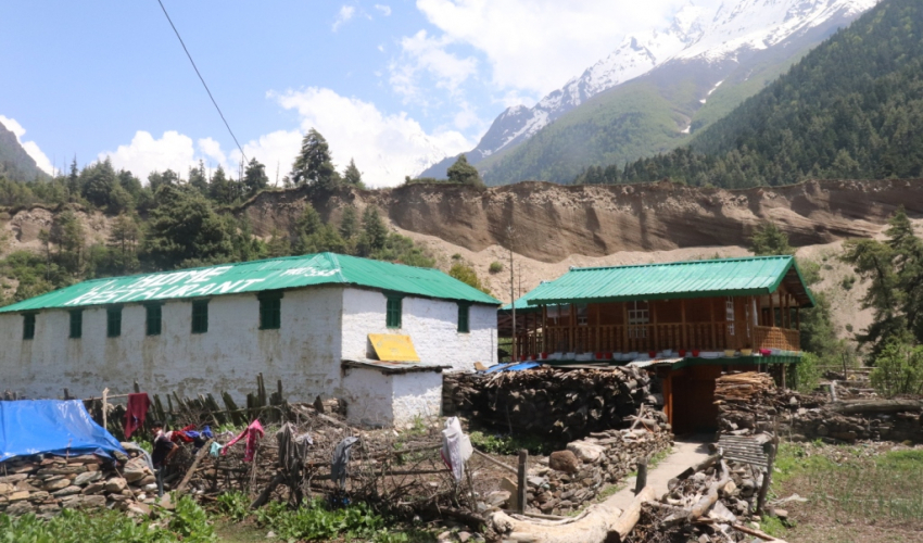 छाङ्गरु र तिङ्करमा खाद्यान्न अभाव : चामल प्रतिकेजी २५०