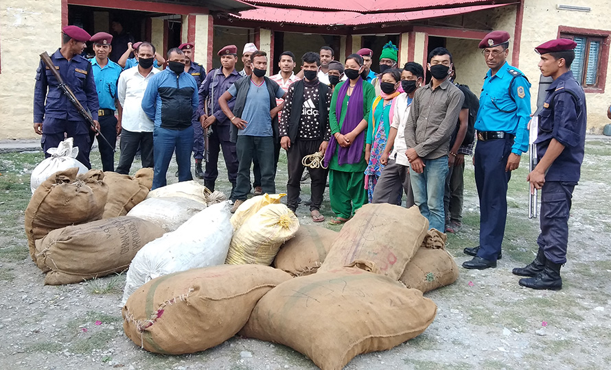 बरामद जडीबुटीको अत्तोपत्तो छैन