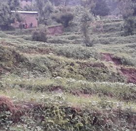 पहिरोका कारण बुढिगंगा नगरपालिका १ का २ दर्जन बढि परिवार बिस्तापित