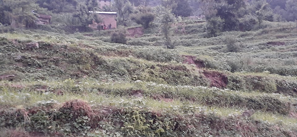 पहिरोका कारण बुढिगंगा नगरपालिका १ का २ दर्जन बढि परिवार बिस्तापित