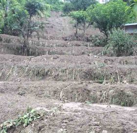 पहिरोको कहर : न घर, न घडेरी