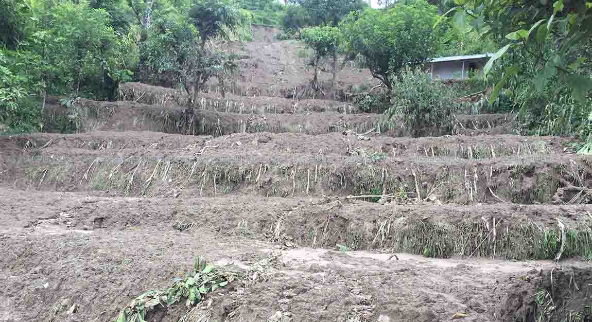 पहिरोको कहर : न घर, न घडेरी