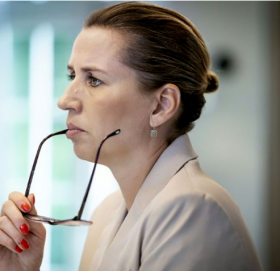 तेश्रो पटक रोकियो प्रधानमन्त्रीको बिहे