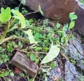 वर्षाका कारण सीमास्तम्भ ढल्यो