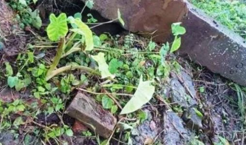 वर्षाका कारण सीमास्तम्भ ढल्यो