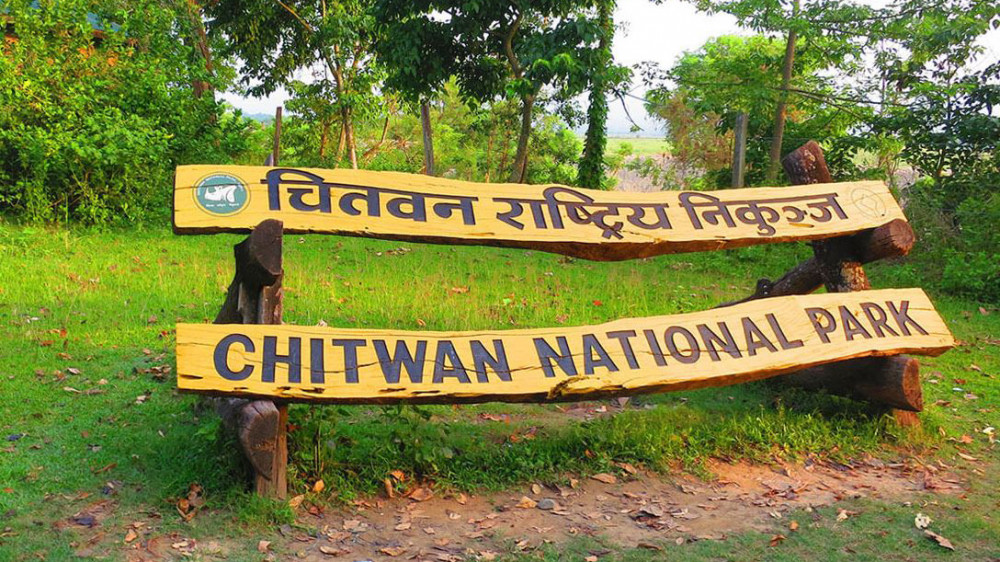 निकुञ्जमा सैनिकले पिटेका युवकको मृत्यु