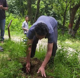 बुढीगंगा नगरपालिकामा फलफुल राेपण वर्ष शुभारम्भ