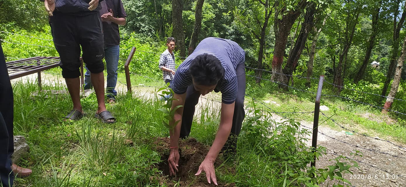 बुढीगंगा नगरपालिकामा फलफुल राेपण वर्ष शुभारम्भ