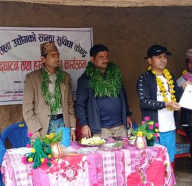 बडीमालिका ७ मा मसला उद्योग संचालन