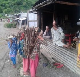 यार्सागुम्वा संकलन गर्न नपाउदा  सुर्मा बासि आर्थिक संकटमा