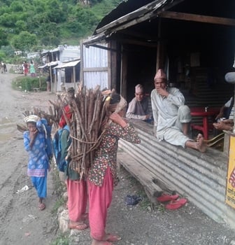 यार्सागुम्वा संकलन गर्न नपाउदा  सुर्मा बासि आर्थिक संकटमा