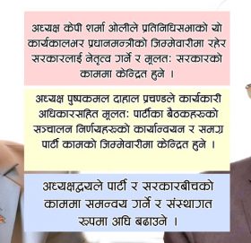 नेकपा कार्यदलले बुझाएको प्रतिवेदनमा के छ ? (पूर्ण विवरणसहित )