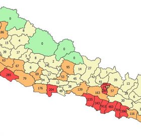 यी हुन् २०० भन्दा बढी सक्रिय संक्रमित रहेका १३ जिल्ला [कुन जिल्लामा कति?]