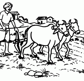 हली!लघुकथा।