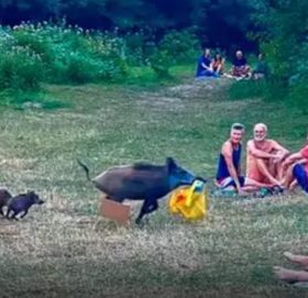 मारिने भयो ल्यापटप चोर्ने चर्चित बँदेल