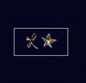 नेपाल प्रहरीका ७२ डीएसपीको सरुवा (सूची)