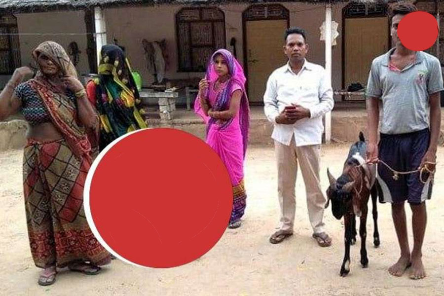 घरमा पालेको बोकाले दिनहुँ आधा लिटर दुध दिन्छ