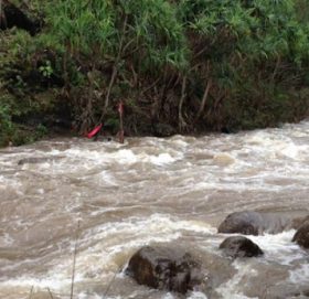 बाउली खोलामा  पुल निर्माणको ठेक्का खुल्याे