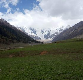 सैन हिमालमा तस्करको अखडा