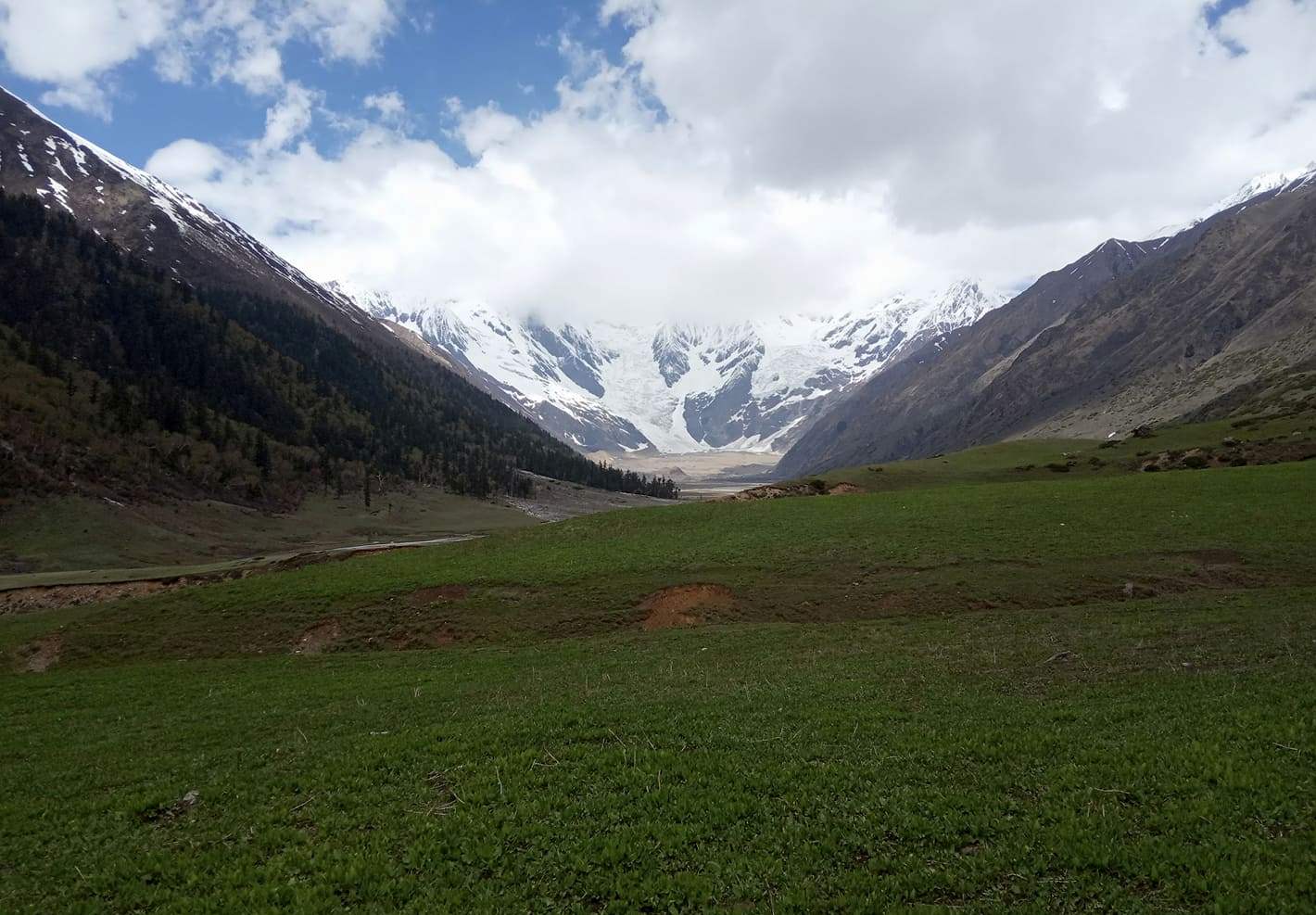 सैन हिमालमा तस्करको अखडा