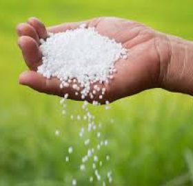 मलका दुई ठेकेदारको धरौटी जफत