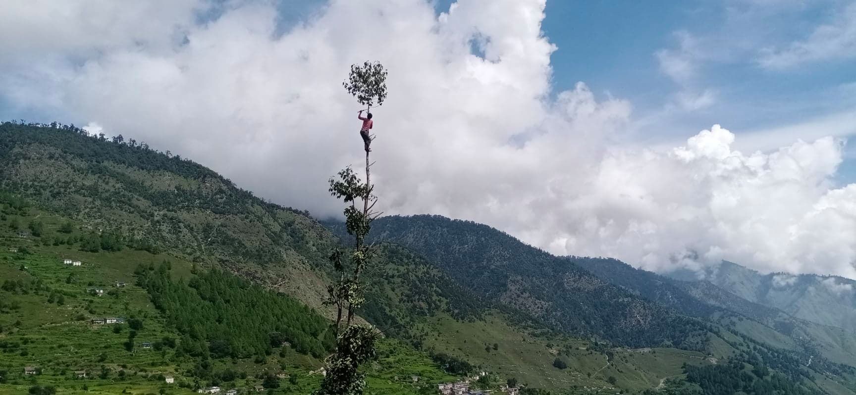 जाेखिम माेलेर घाँस काट्दै एक बालक (फाेटाे फिचर)