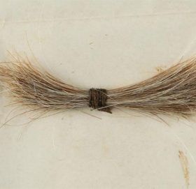 ८१ हजार डलरमा बिक्यो अब्राहम लिंकनको कपाल