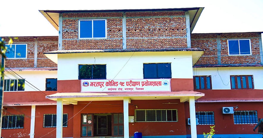 चितवनमा १८ महिने बालकसहित १२ जनामा कोरोना पुष्टि