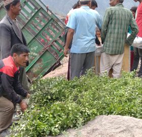 जनता प्रति समर्पित जनप्रतिनिधि