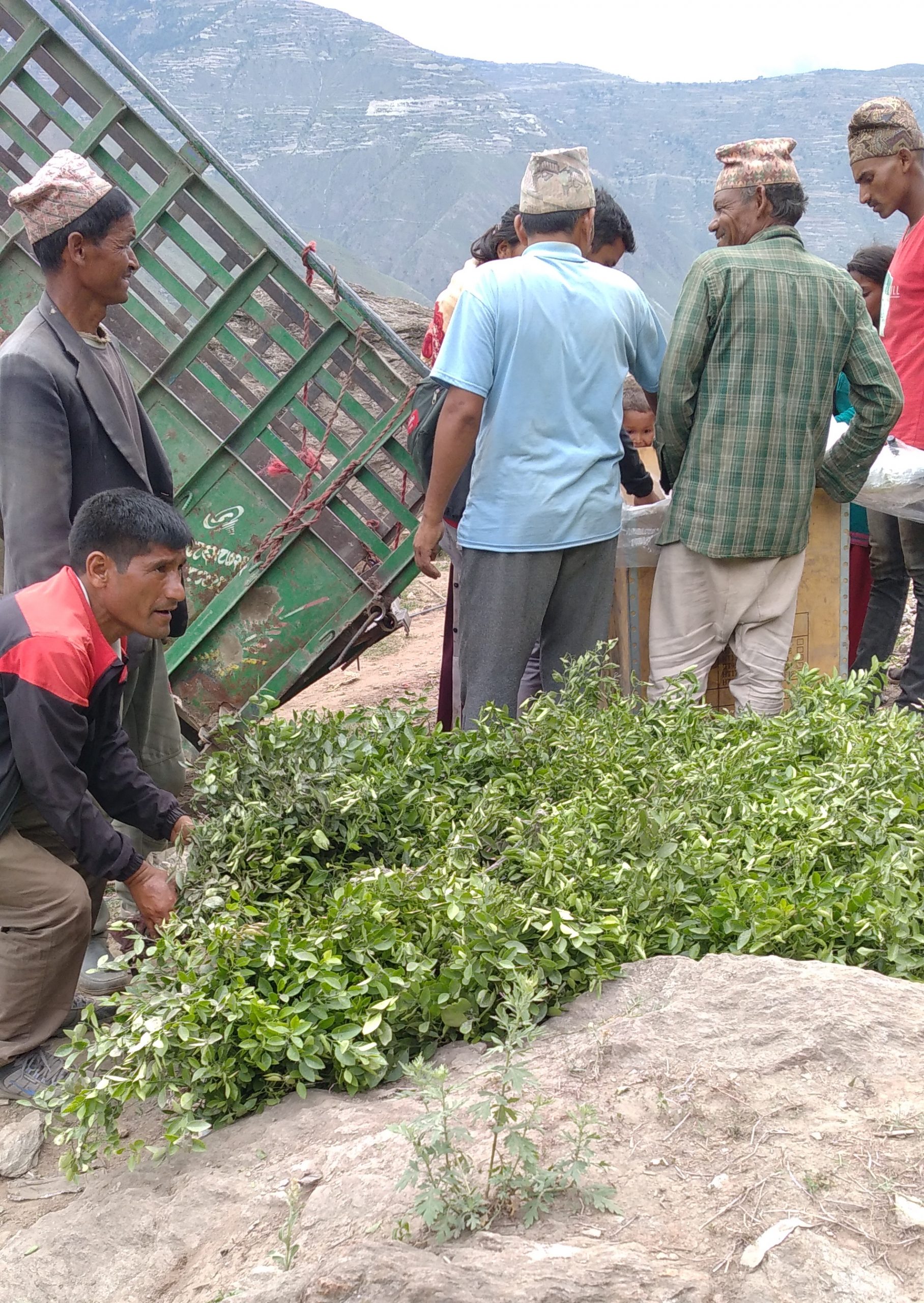 जनता प्रति समर्पित जनप्रतिनिधि