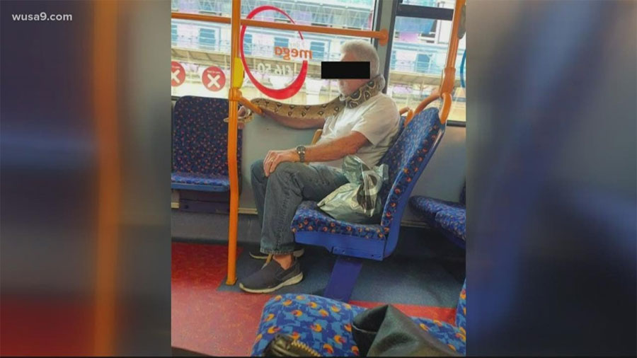 ज्यूँदो सर्पको मास्क लगाएपछि…