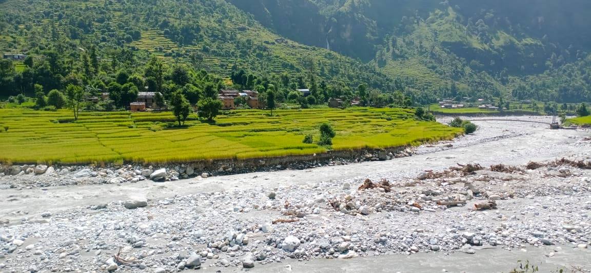 बुढिगंगा नदिले कटान गर्दा धान फल्ने खेत बगरमा परिणत