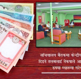 नेकपाका केन्द्रीय सदस्यको मासिक तलब कति ?