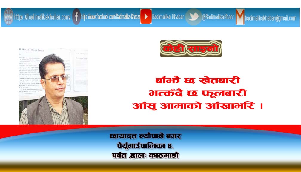 बगरका केही साइनो