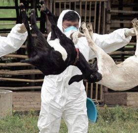 चीनमा अब ब्याक्टेरियाका कारण हज्जारौं बिरामी