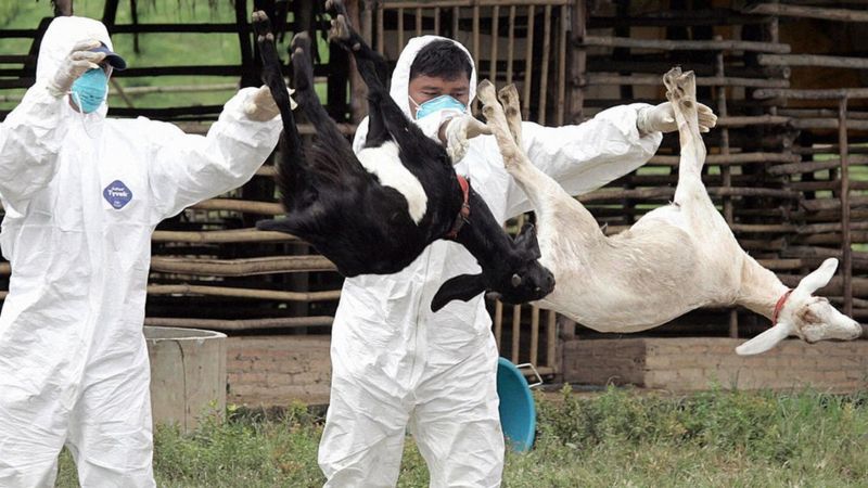 चीनमा अब ब्याक्टेरियाका कारण हज्जारौं बिरामी