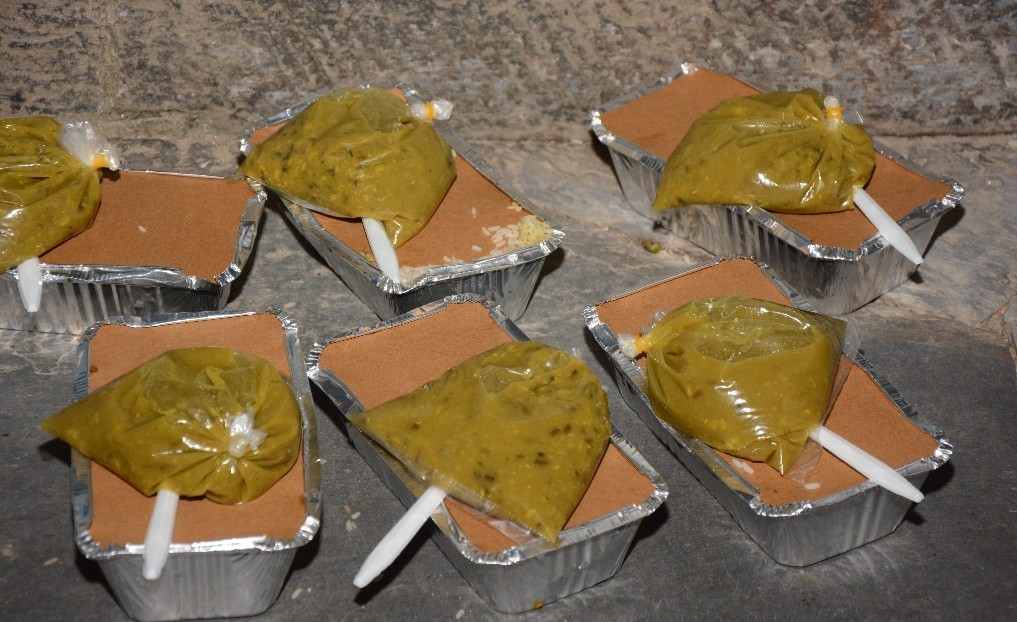 ‘भोकभोकै दिन–रात बिताएँ, यो पीडा कसरी भन्न सकुँला र ?