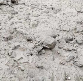 वाढि पहिरो प्रभावित क्षेत्रका स्थानियलाई ५० हजार वढि आर्थिक सहयोग