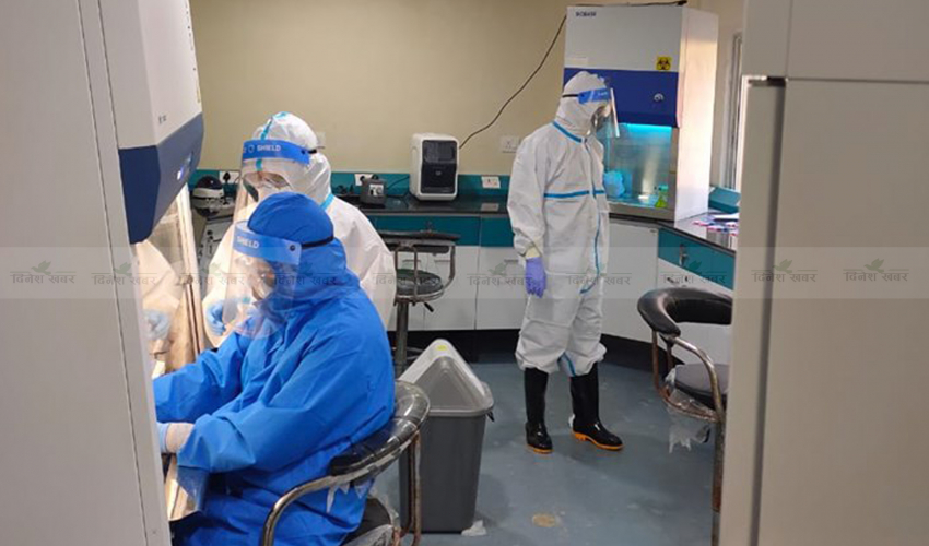 २०७ दिनमा सुदूरपश्चिमका ६७ हजारको कोरोना परीक्षण