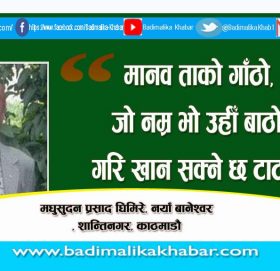 मधुसुदन प्रसाद घिमिरेकाे (साइनाे)