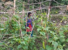 मायाको च्याउदेखि टमाटर बारीसम्मको यात्रा